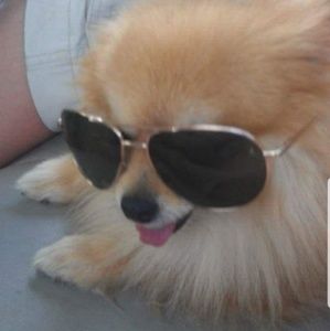 Meet your Posher, Jonathan